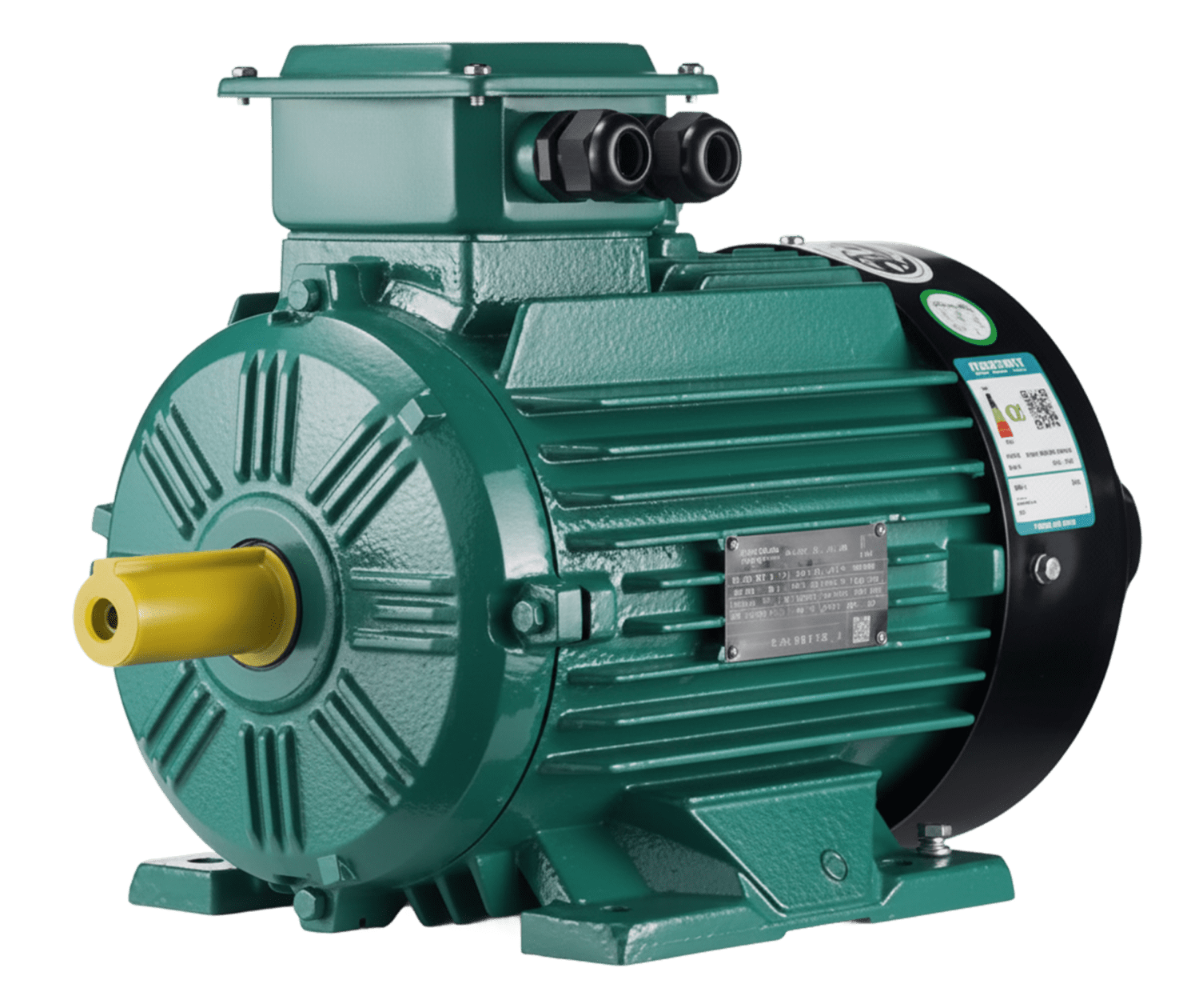 Brook Crompton WE3 and WE4 high-efficiency IE3 IE4 electric motor